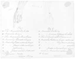 Anotomaical Description of the Hand and the Wrist GIMP online editor free Free download Anotomaical Description of the Hand and the Wrist free photo or picture to be edited with GIMP online image editor