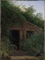 Free download An Overgrown Mineshaft free photo or picture to be edited with GIMP online image editor