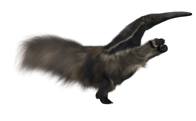 Free download Anteater Giant Animal -  free illustration to be edited with GIMP free online image editor