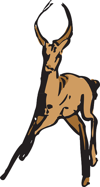 Darmowe pobieranie Antylopa Zwierząt Rogi - Darmowa grafika wektorowa na Pixabay darmowa ilustracja do edycji za pomocą GIMP darmowy edytor obrazów online