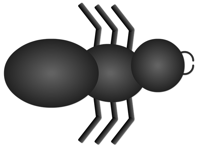 Free download Ant Insect Anthill -  free illustration to be edited with GIMP free online image editor