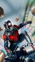 Free download Antman free photo or picture to be edited with GIMP online image editor