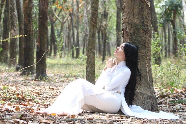 Free download Aodai Longdress Woman -  free free photo or picture to be edited with GIMP online image editor