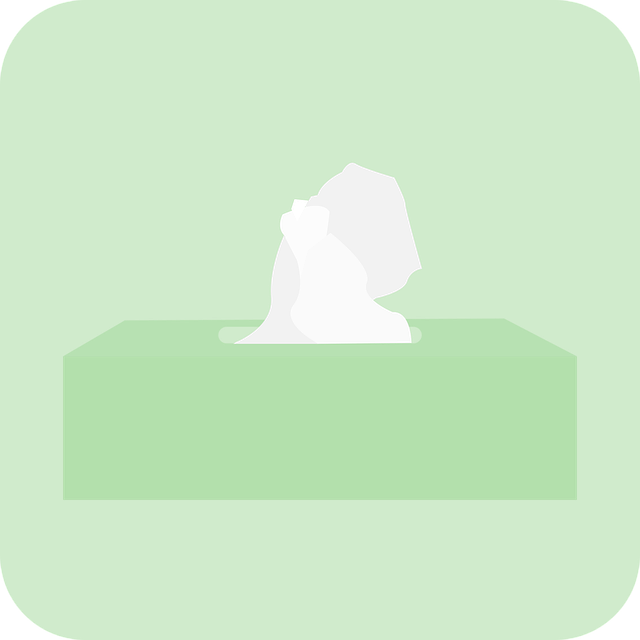 Muat turun percuma Pek Tisu Kotak Wipes - Grafik vektor percuma di Pixabay ilustrasi percuma untuk diedit dengan editor imej dalam talian percuma GIMP