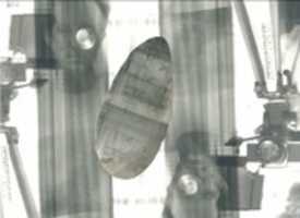 Free download (a) Papelenmarcadoporluzytiempo free photo or picture to be edited with GIMP online image editor