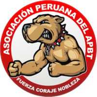 Free download Apbt Peru free photo or picture to be edited with GIMP online image editor