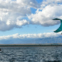 A Person Kitesurfing  screen for extension Chrome web store in OffiDocs Chromium