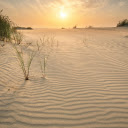A Picturesque Shot of a Beach  screen for extension Chrome web store in OffiDocs Chromium