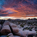 A Picturesque Sunset at Joshua Tree National Park  screen for extension Chrome web store in OffiDocs Chromium