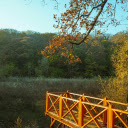 A Pier at a Lake  screen for extension Chrome web store in OffiDocs Chromium