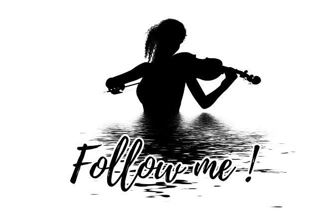 Free download Apocalypse Violin Violinist -  free illustration to be edited with GIMP free online image editor