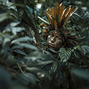 A powerful view of a warrior leader  screen for extension Chrome web store in OffiDocs Chromium