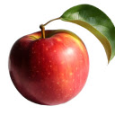 Apple and Leaf  screen for extension Chrome web store in OffiDocs Chromium
