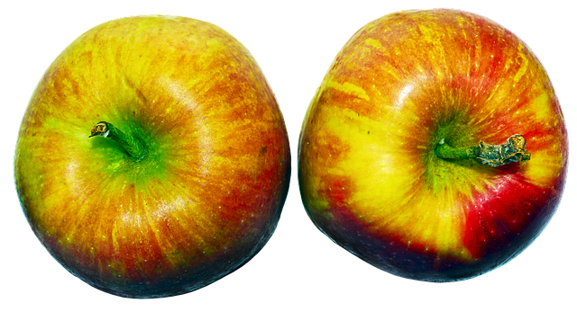 Free download apple apples fruit pome fruit free picture to be edited with GIMP free online image editor