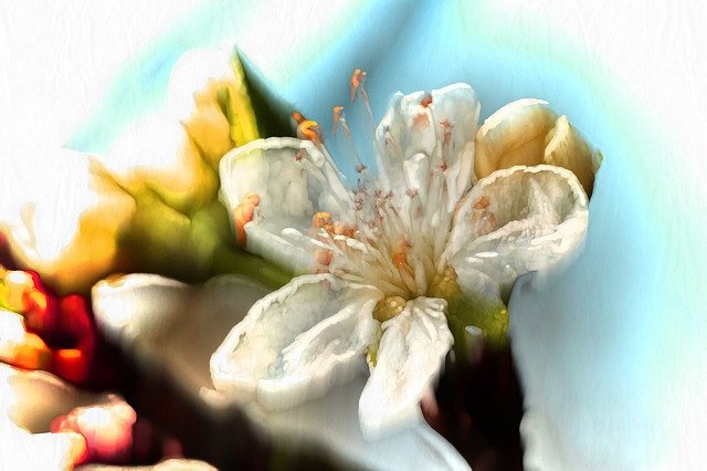 Free download Apple Blossom Watercolour Gradient -  free illustration to be edited with GIMP free online image editor
