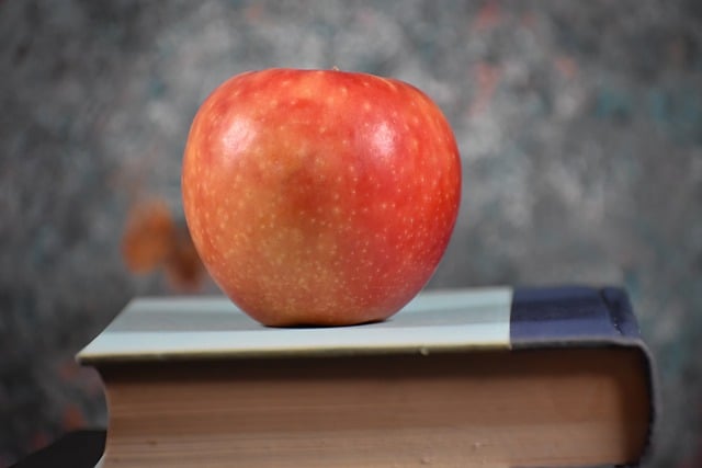 Free download apple school book teacher free picture to be edited with GIMP free online image editor