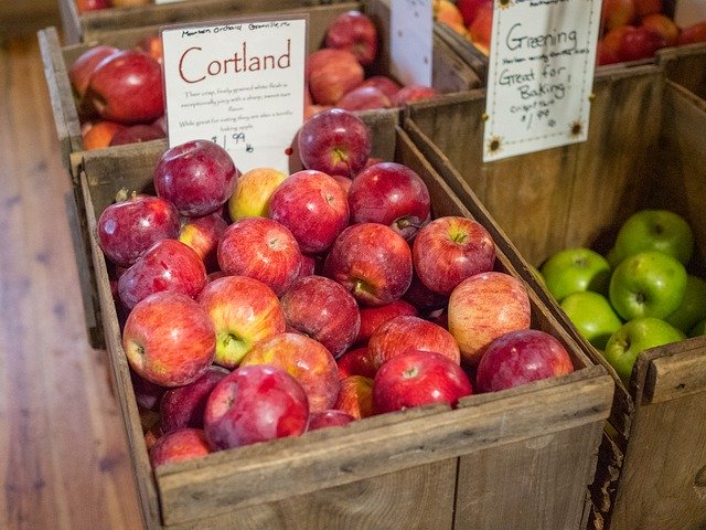 Free picture Apples Cortland Red -  to be edited by GIMP free image editor by OffiDocs