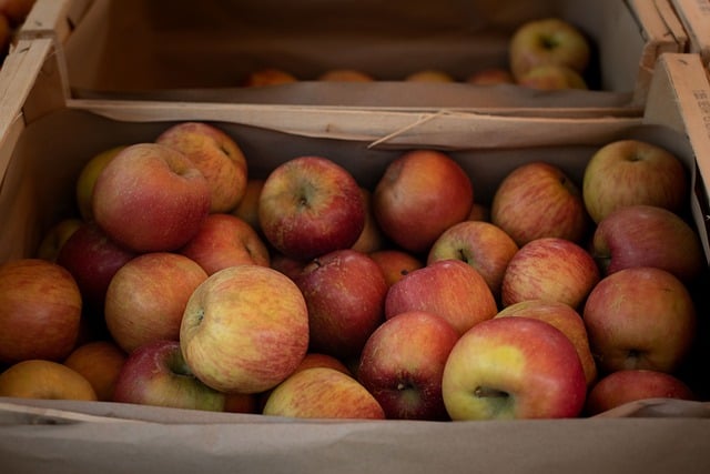 Free download apples crate of apples apple harvest free picture to be edited with GIMP free online image editor