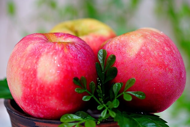 Free download apples fruit fresh organic vitamin free picture to be edited with GIMP free online image editor