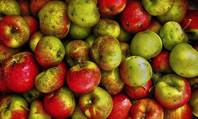 Free download apples fruit pome fruit free picture to be edited with GIMP free online image editor