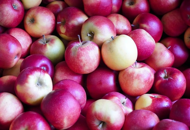 Free download apples harvest fruit food fresh free picture to be edited with GIMP free online image editor