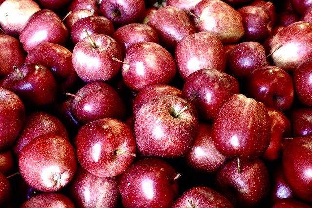 Free download Apples Red Stem -  free photo or picture to be edited with GIMP online image editor