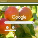 Apricot  screen for extension Chrome web store in OffiDocs Chromium