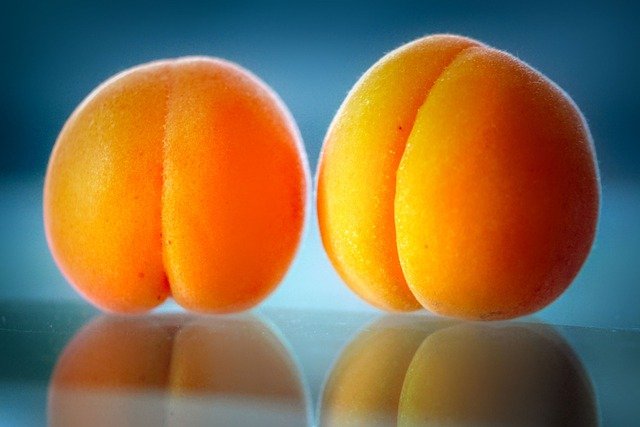 Unduh gratis buah aprikot yummy gambar gratis berair lucu untuk diedit dengan editor gambar online gratis GIMP