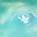 Aqua Manifest Serenity  screen for extension Chrome web store in OffiDocs Chromium