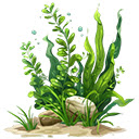 aquatic  screen for extension Chrome web store in OffiDocs Chromium