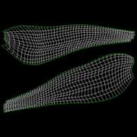 Free download arabella free photo or picture to be edited with GIMP online image editor