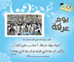 Free download arafa free photo or picture to be edited with GIMP online image editor