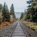 A Railroad Track Lined with Trees  screen for extension Chrome web store in OffiDocs Chromium