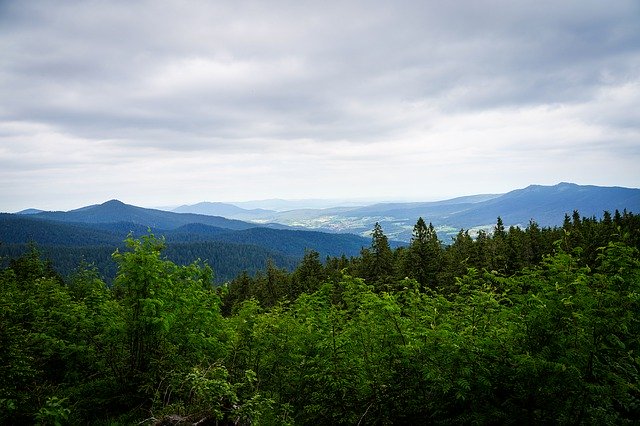 دانلود رایگان Arber Mountain Bayerest - عکس یا تصویر رایگان برای ویرایش با ویرایشگر تصویر آنلاین GIMP