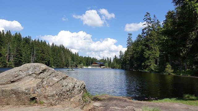 הורדה חינם Arbersee Forest Bavarian Lake - תמונה או תמונה בחינם לעריכה עם עורך התמונות המקוון GIMP