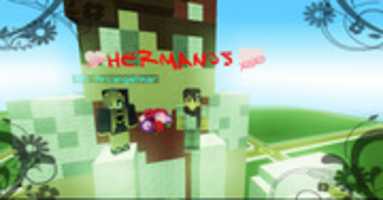 Free download arcattskinbanner free photo or picture to be edited with GIMP online image editor