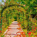 Arched road  screen for extension Chrome web store in OffiDocs Chromium