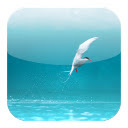 Arctic Tern Theme  screen for extension Chrome web store in OffiDocs Chromium