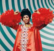 Free download aretha free photo or picture to be edited with GIMP online image editor
