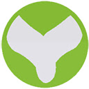 Areviews get reviews from aliexpress,amazon  screen for extension Chrome web store in OffiDocs Chromium