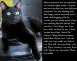 Free download A Rhyming Poem free photo or picture to be edited with GIMP online image editor