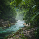 A river flowing through a forest with green trees  screen for extension Chrome web store in OffiDocs Chromium