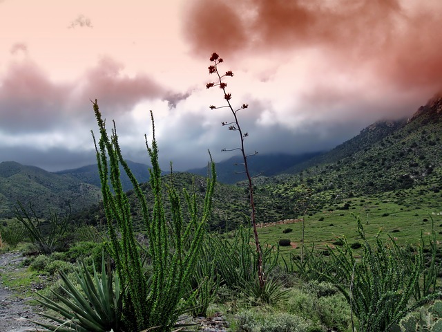 Free download arizona landscape scenic mountains free picture to be edited with GIMP free online image editor