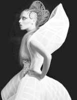 Free download Armature, Other Wordly Elegance free photo or picture to be edited with GIMP online image editor