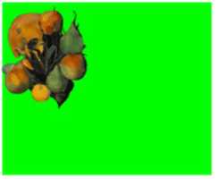 Free download Armature Respira Chroma Key free photo or picture to be edited with GIMP online image editor