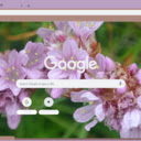 Armeria  screen for extension Chrome web store in OffiDocs Chromium