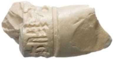Free download Arm or wrist, Aten cartouche free photo or picture to be edited with GIMP online image editor