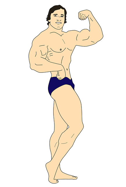 Free download Arnold Schwarzenegger Muscles free illustration to be edited with GIMP online image editor