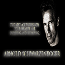 Arnold Schwarzenegger Theme By RB Themes  screen for extension Chrome web store in OffiDocs Chromium