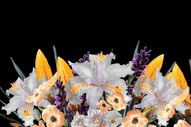 Free download Arrangement Bouquet Flowers -  free photo or picture to be edited with GIMP online image editor